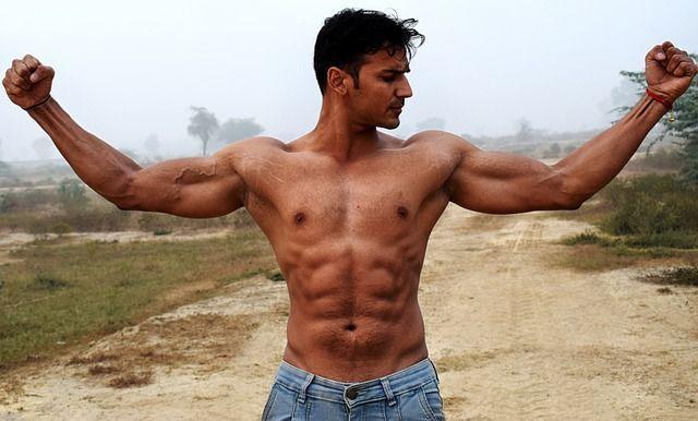 biceps, triceps, fit