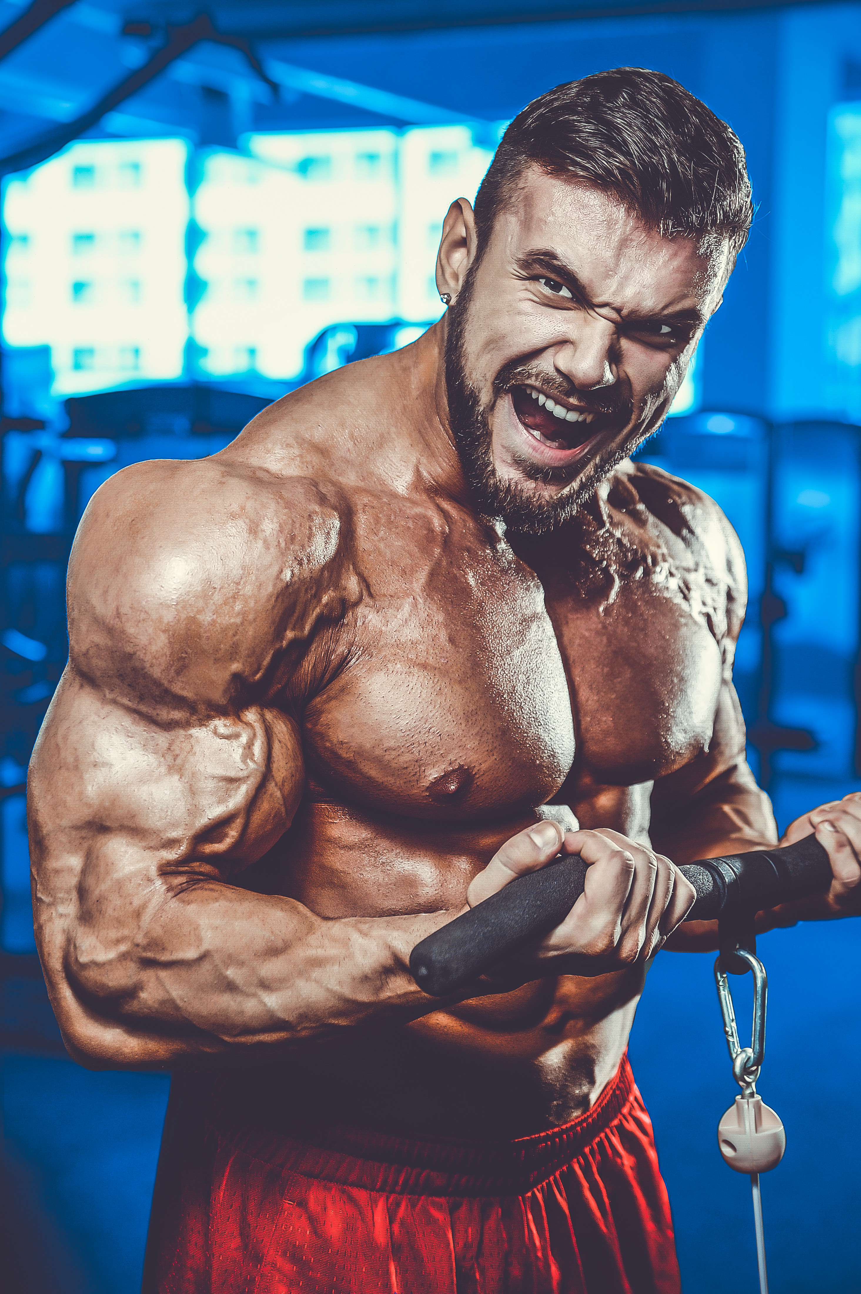 Best supplements for vascularity strong supplement shop
